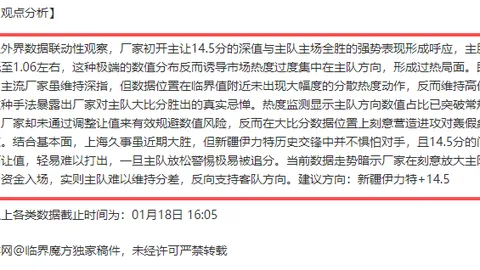 印尼球迷力挺申台龙回归，期盼力挽狂澜挽救澳大利亚惨败之痛